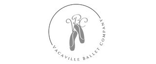 VBC Logo_v3.0.1